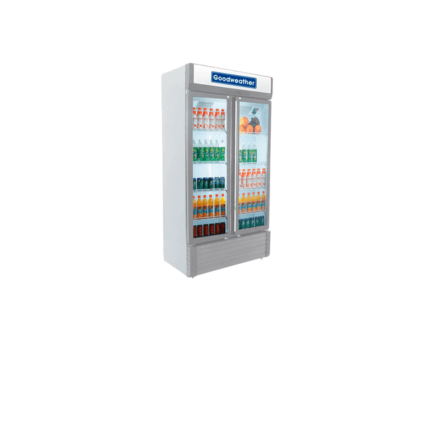 EXHIBIDOR GOODWEATHE GW-810-EF 810LTS 30882