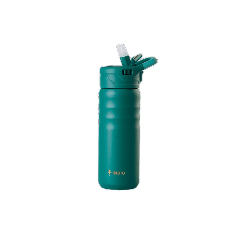 HOPPY ACERO INOX INDIO TAPA PUSH C/PICO 530ML- VERDE 33563