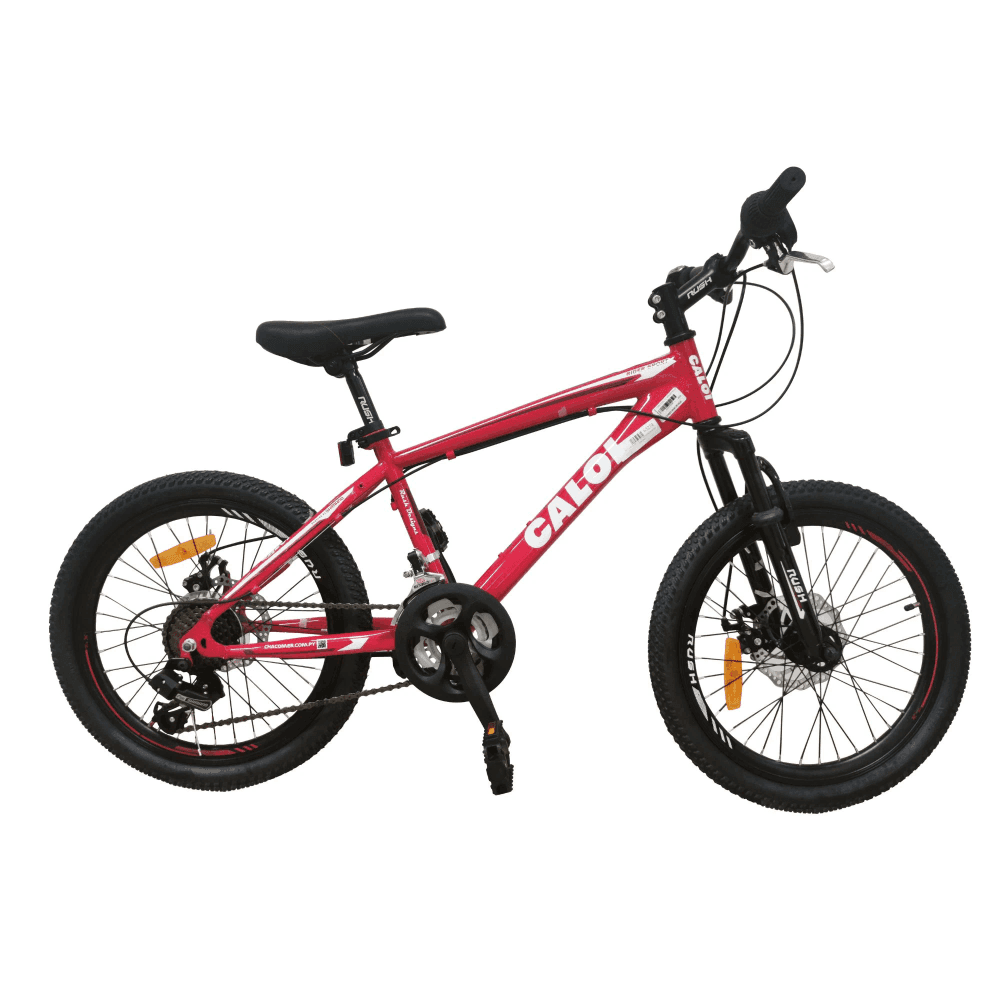 BICI CALOI RIDER SPORT 20' ROJO 8142