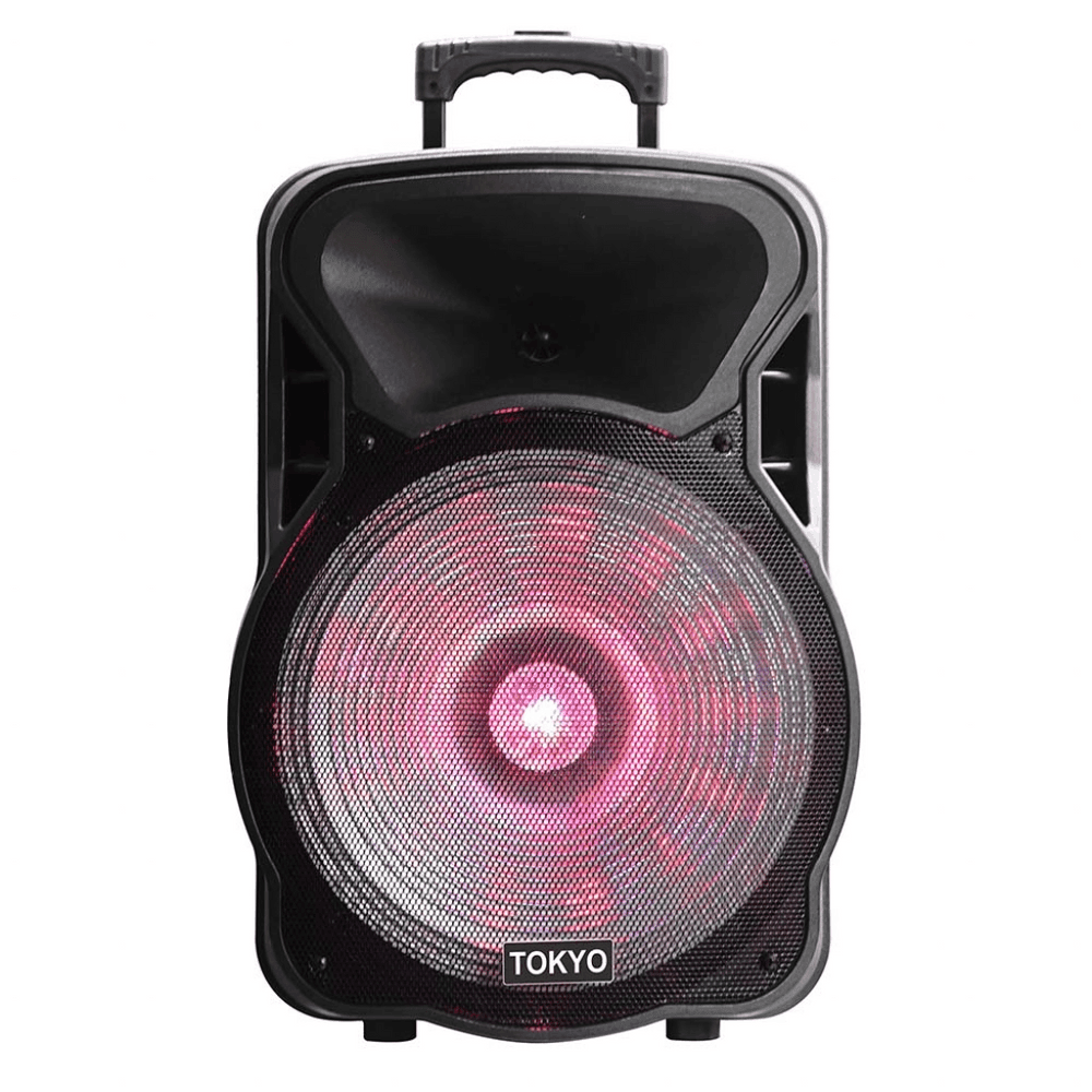PARLANTE TOKYO PARTY 15 BATERIA 6600MAH BLUETOOH FM/USB 2MICROFONOS T2059 5538