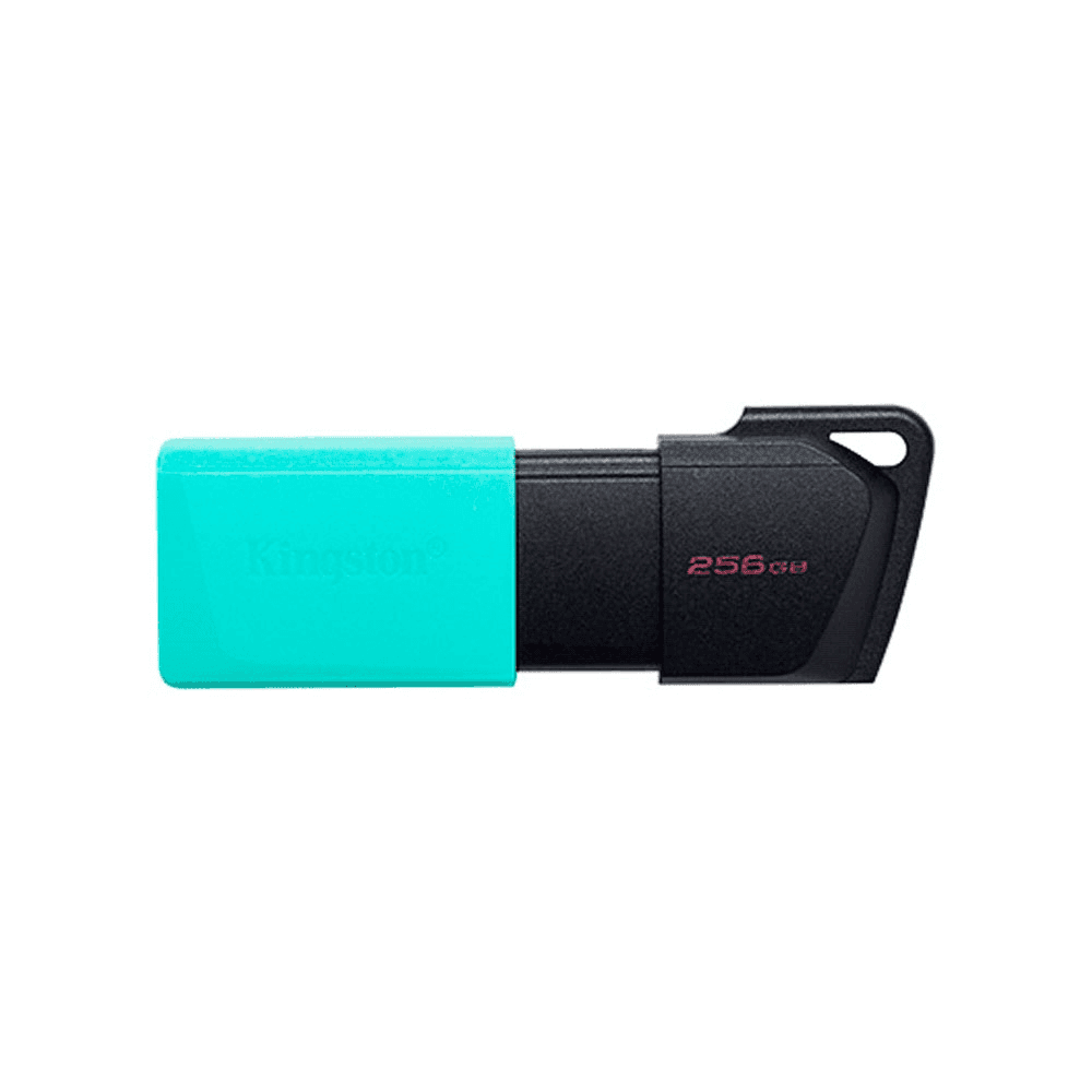 PENDRIVE KINGSTON DATATRAVELER EXODIA M 256GB USB 3.2 DTXM/256GB 91084