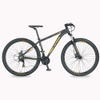 BIC FREE AC ARO 29 ALUM 21V MASC FLEXUS 3.0 DISK BRAKE GRAFITO/NARANJA CICBFAFLN29-014/AR