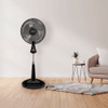 VENTILADOR DE PIE ARNO TROPICAL PLUS 3V NEGRO 220V 50HZ EDAVPTPL