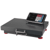 BALANZA DIG.INAL COMERC QUANTA QTBDI300 300KG/100G/MEMORIA-GR QNT-100694