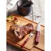 JUEGO ASADO 12 PZAS POLYOOD TRAMONTINA T21199O SEL-445f59b1