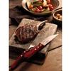 JUEGO ASADO 12 PZAS POLYOOD TRAMONTINA T21199O SEL-445f59b1