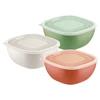 BOWL CON TAPA TRAMONTINA T25099Q SEL-5d396441