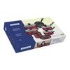 JUEGO DE COCINA 7PZAS LORETO TRAMONTINA T20399B SEL-7ebf8c04