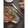 JUEGO PARA ASADO 12 PZAS POLYOOD TRAMONTINA T21199 SEL-98313a5a
