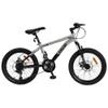 BICICLETA CALOI RIDERECHOSPORT 20 PLATA SEL-9b2a5f74