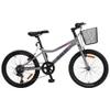 BICICLETA CALOI CALIFORNIA 20" GRIS SEL-af908c93