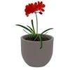 MACETA LAOS 28CM /HM TRAMONTINA T927663 SEL-f1198c8e